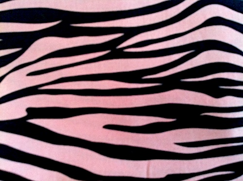 Pink And Black Zebra